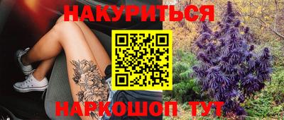 прущие крисы Краснознаменск