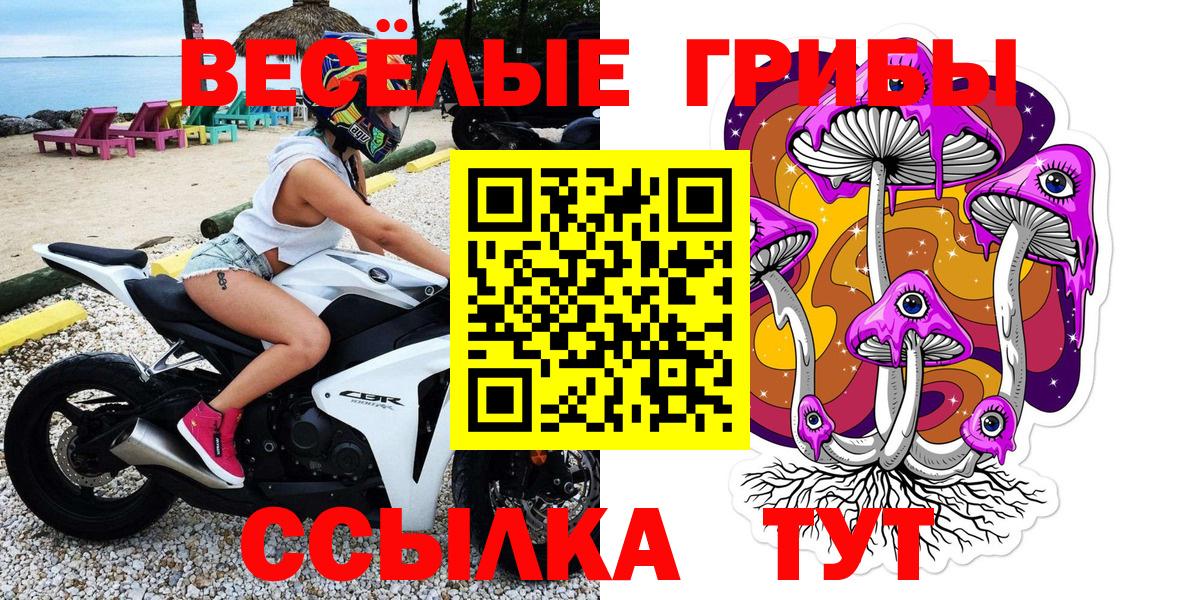 Галлюциногенные грибы GOLDEN TEACHER Калач-на-Дону