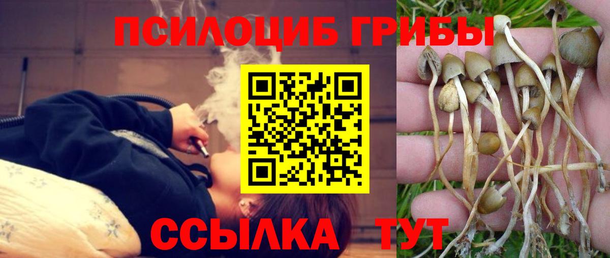Калач-на-Дону  Псилоцибиновые грибы мухоморы  Вход с VPN 
